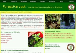 Screenshot of the ForestHarvest homepage, taken on 27 March 2008