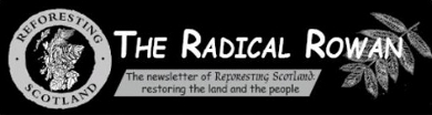 Banner used for the Radical Rowan newsletter