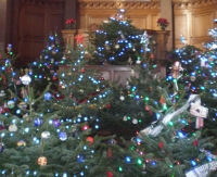 RS Yule tree flanked by others at St George's, midwinter 2011